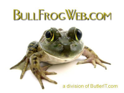 Bull Frog Web - Affordable Website Hosting